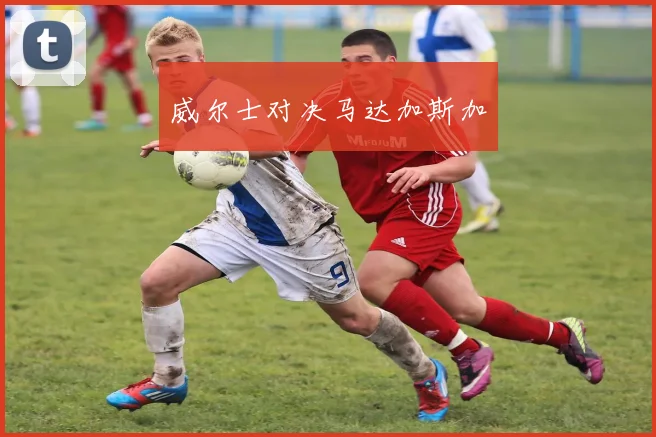 威尔士对决马达加斯加