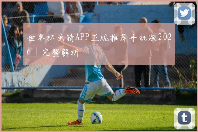 世界杯竞猜APP正规推荐手机版2026|完整解析
