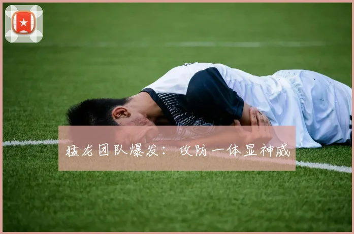 猛龙团队爆发：攻防一体显神威