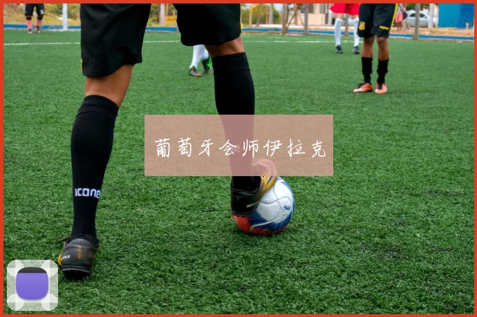 葡萄牙会师伊拉克