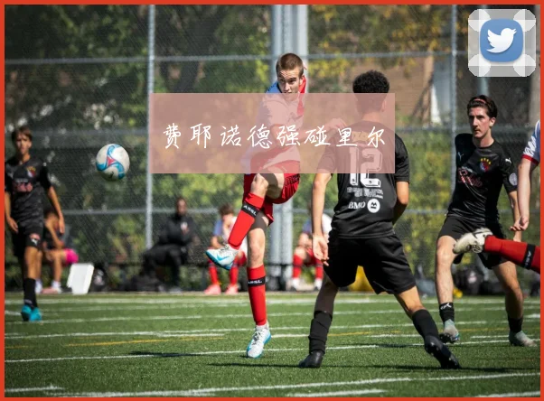 费耶诺德强碰里尔