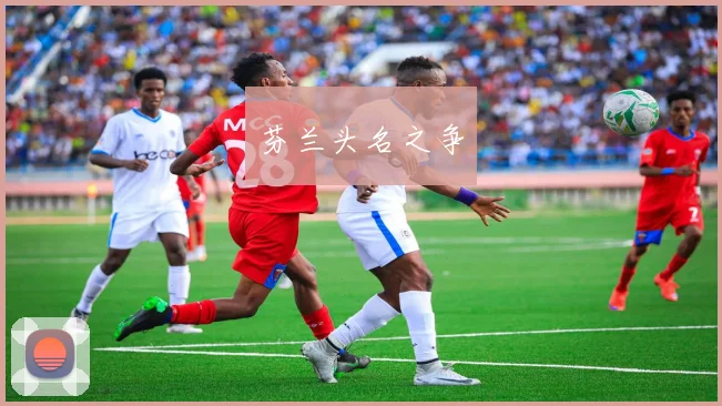 芬兰头名之争