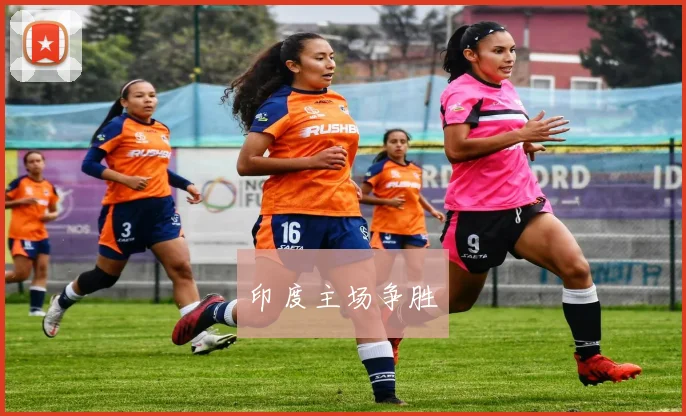 印度主场争胜