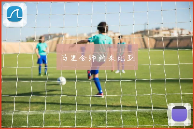 马里会师纳米比亚