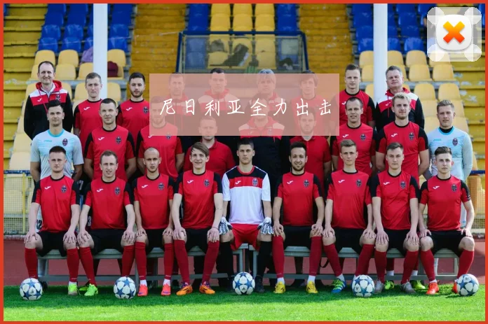 尼日利亚全力出击