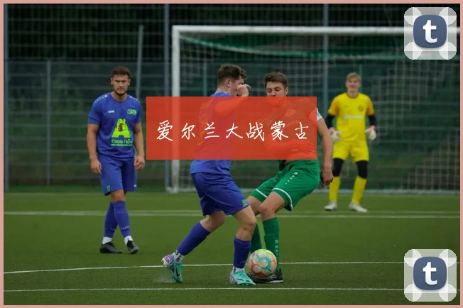 爱尔兰大战蒙古