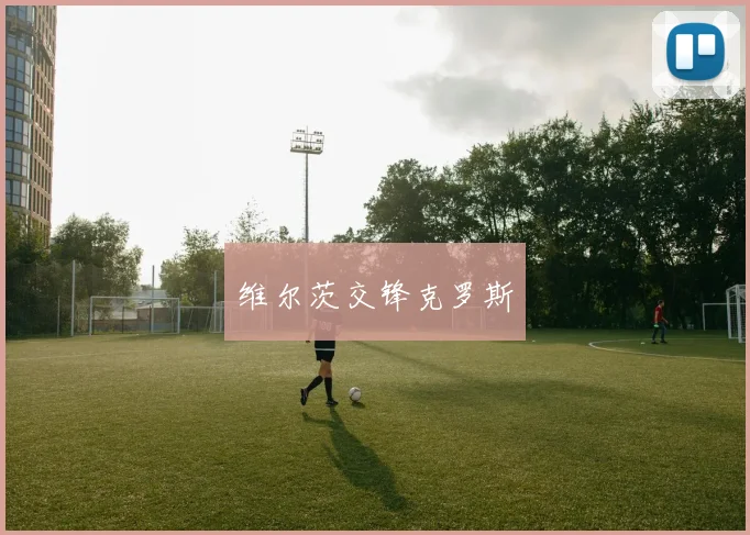 维尔茨交锋克罗斯