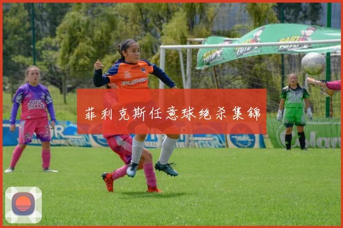 菲利克斯任意球绝杀集锦