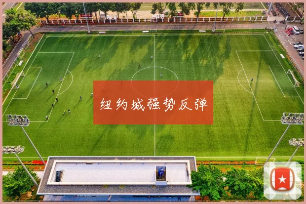 纽约城强势反弹