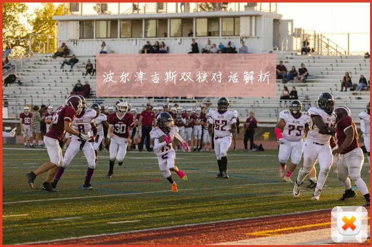 波尔津吉斯双核对话解析