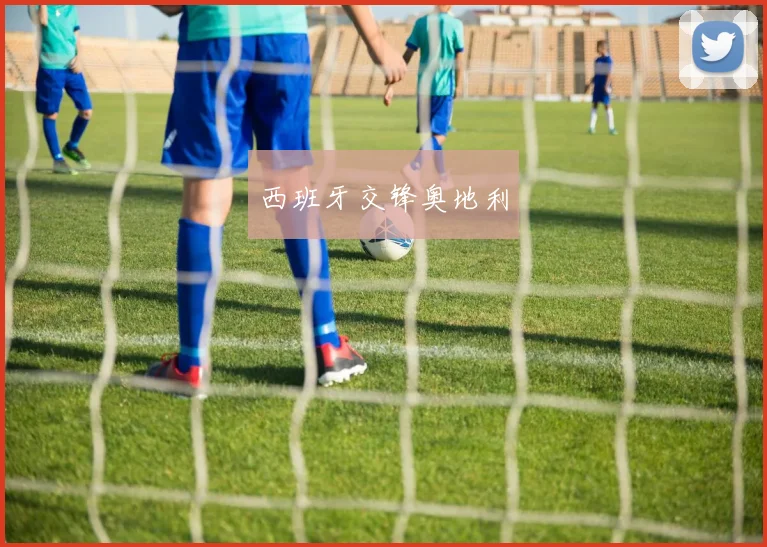 西班牙交锋奥地利