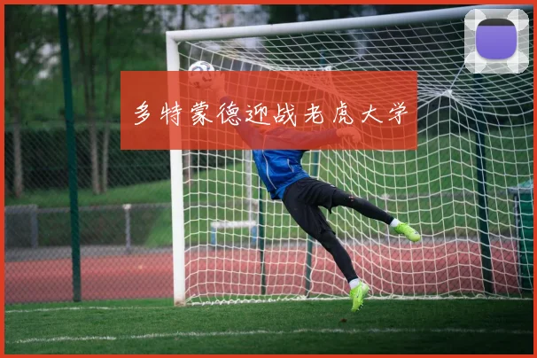 多特蒙德迎战老虎大学