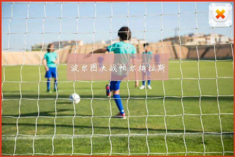 波尔图决战帕尔梅拉斯