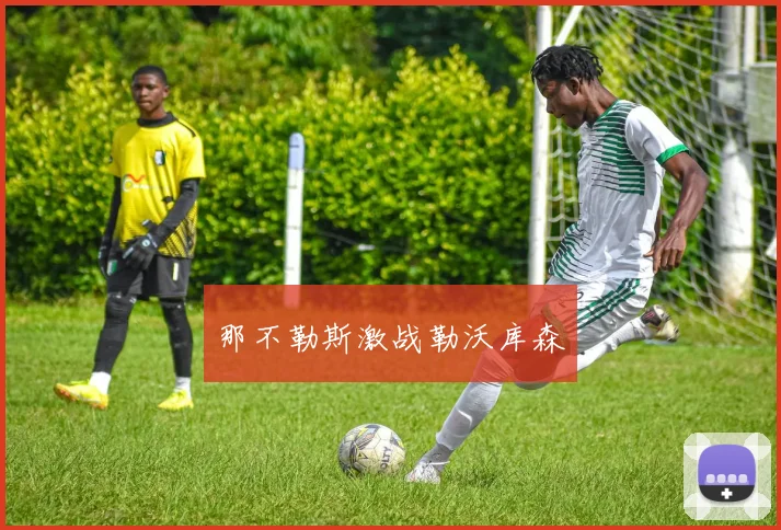 那不勒斯激战勒沃库森