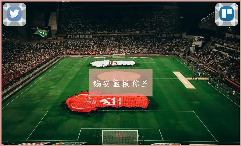 锡安篮板称王