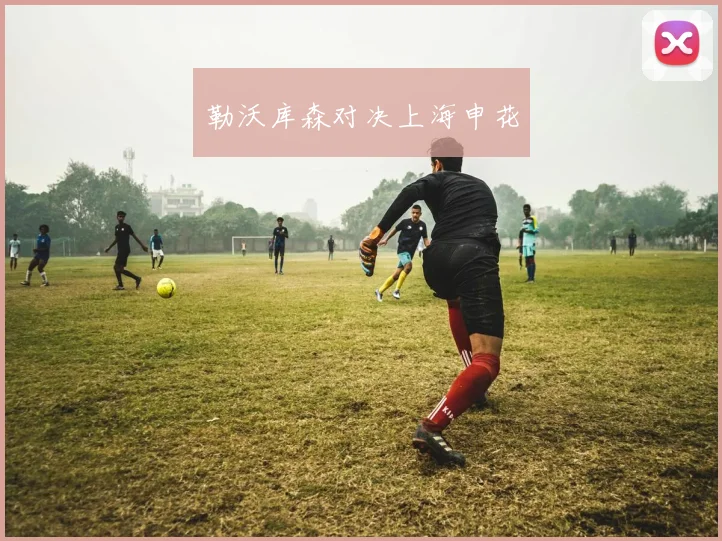 勒沃库森对决上海申花