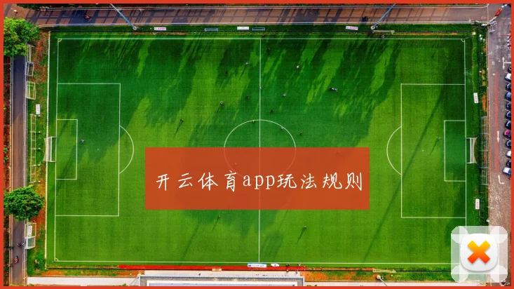 开云体育app玩法规则