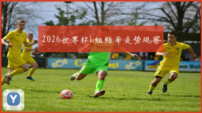 2026世界杯L组赔率走势观察