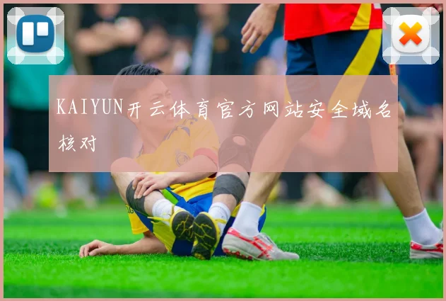 KAIYUN开云体育官方网站安全域名核对