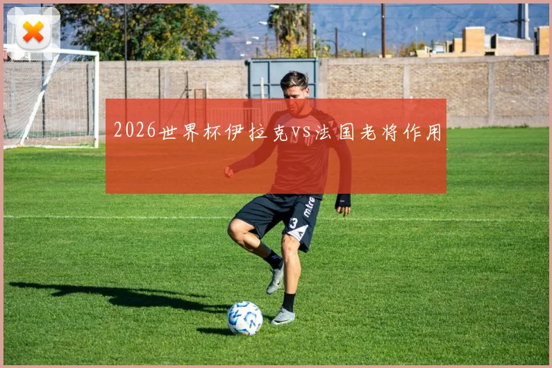 2026世界杯伊拉克vs法国老将作用