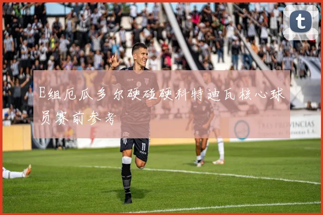 E组厄瓜多尔硬碰硬科特迪瓦核心球员赛前参考